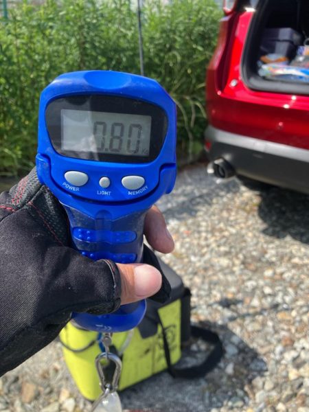 春🦑2杯目GET (^.^)