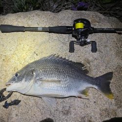 淀川ブリームゲーム