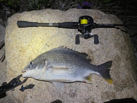 淀川ブリームゲーム