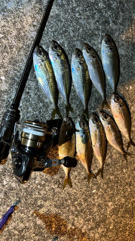 風強めのアジング