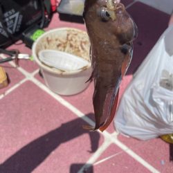 ポイントによりけり