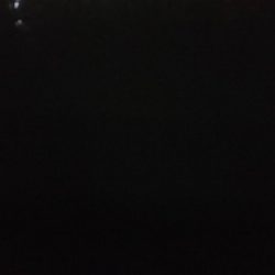 最後のテクトロでシーバス