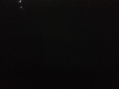 最後のテクトロでシーバス