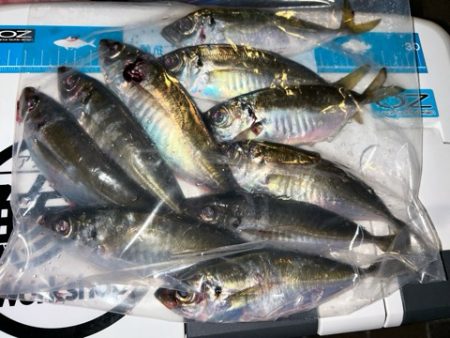 爆風でしたが・・・