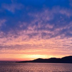 チョット小さめ春イカ