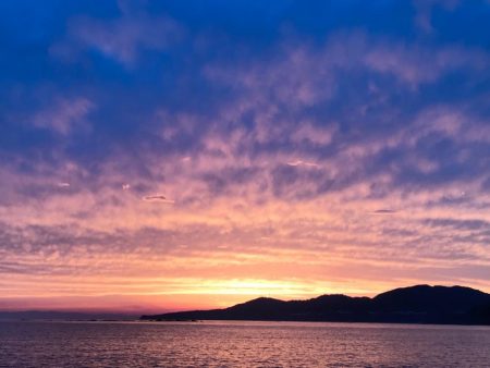 チョット小さめ春イカ