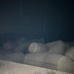 魚津港 夜フカセ