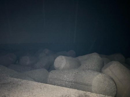 魚津港 夜フカセ