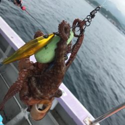 淡路のタコ釣り