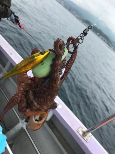 淡路のタコ釣り