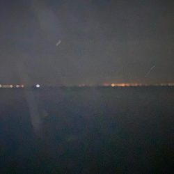 久しぶりのりんくう