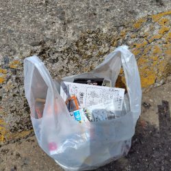 清掃活動：デカサバ