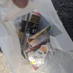 清掃活動：2kgアップの春