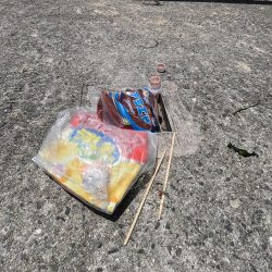 清掃活動：初夏の癒しのがっしー