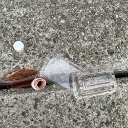 清掃活動：外道到来