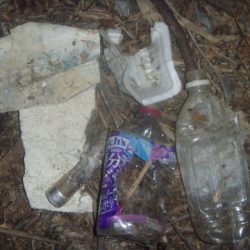 清掃活動：強風バス