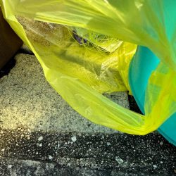 清掃活動：キス釣り、アジ、イワシ五目釣り