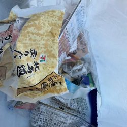 清掃活動：キス狙い