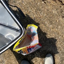 清掃活動：磯で乗っ込みチヌ釣り