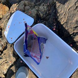 清掃活動：磯で年なしチヌ