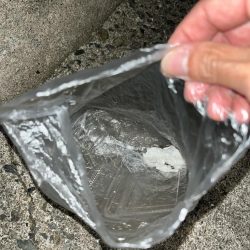 清掃活動：プラッギング