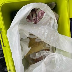 清掃活動：ボートエギング