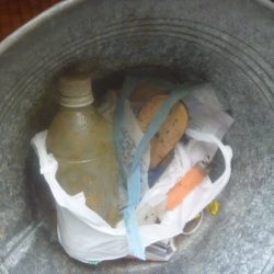 清掃活動：GW明けバス釣り