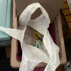 清掃活動：アマラバ