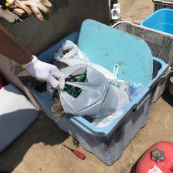 清掃活動：室津のカットウフグ