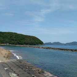 小浜湾でチョイ投げのシロギス