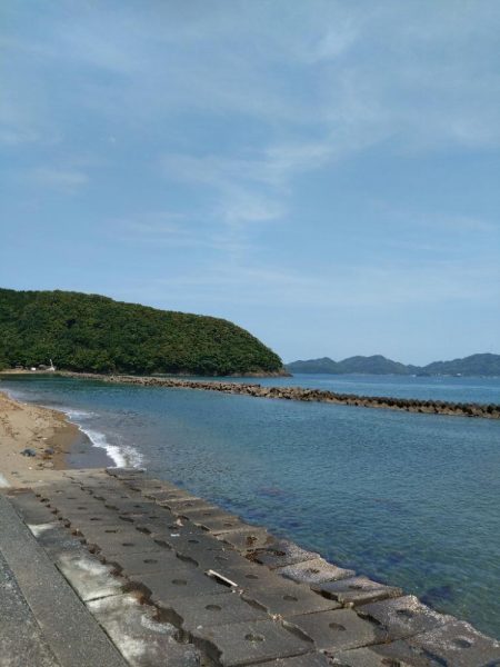 小浜湾でチョイ投げのシロギス