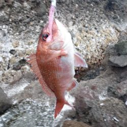 久しぶりの投稿