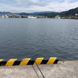 アジを釣りたい!