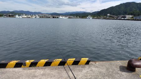 アジを釣りたい!