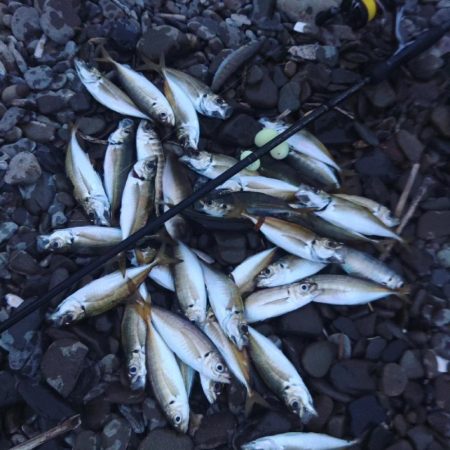 フロートゲーム～