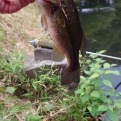 今日もトップで