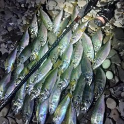 フロートゲーム～