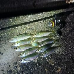 フロートゲーム～