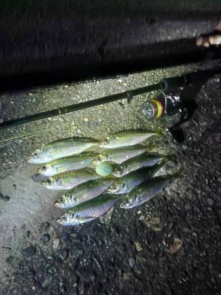 フロートゲーム～