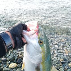 静かな海の中で…