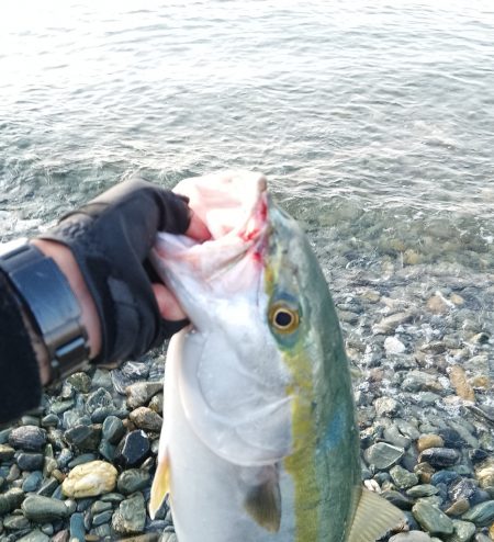 静かな海の中で…