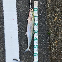 渋い中何とか1匹