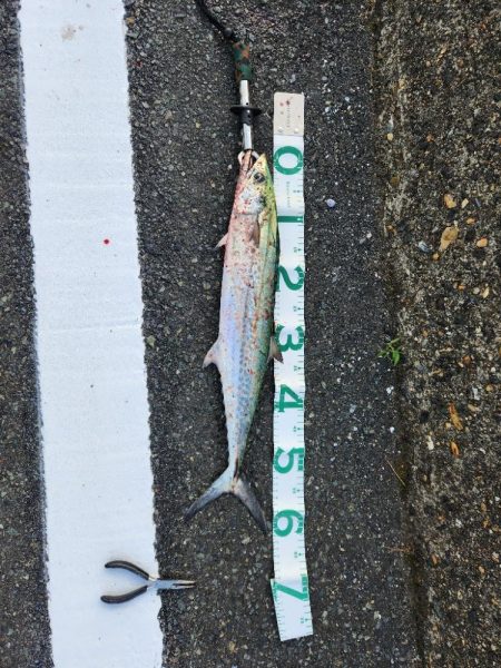 渋い中何とか1匹