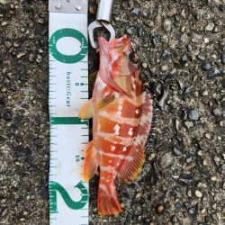 久しぶりの遠征