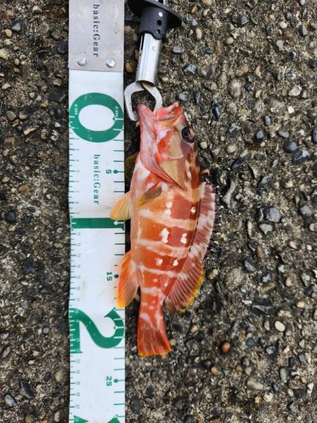 久しぶりの遠征