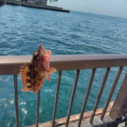 子供達と行くも撃沈