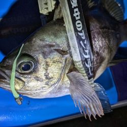 激渋→少し回復？