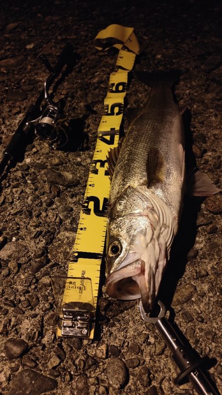 サイズアップ！