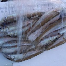 大塩海岸のキス釣り