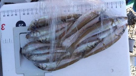 大塩海岸のキス釣り